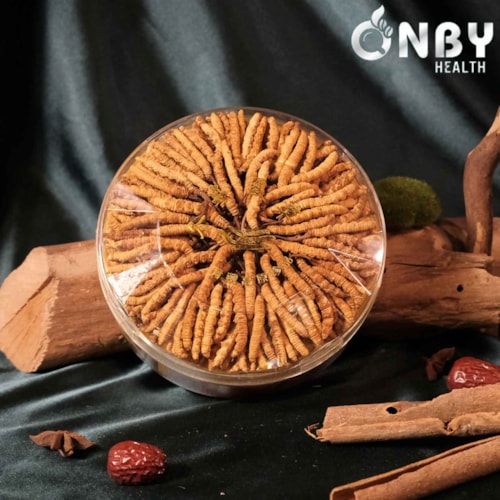 ảnh sản phẩm