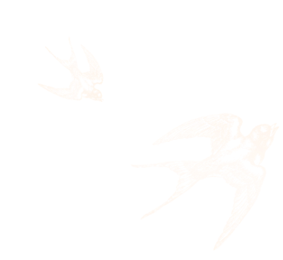 Yến 2